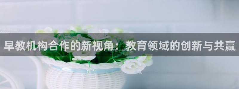 恒行2蒋74OOO5：早教机构合作的新视角：教育领域的创新与共赢