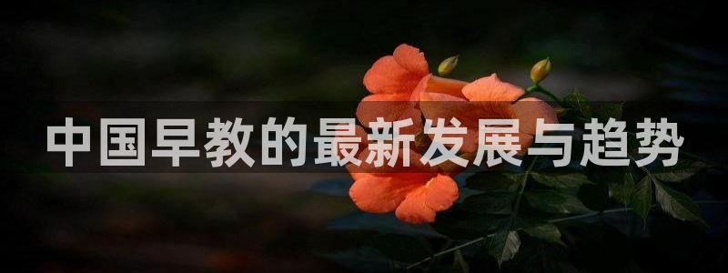 恒行开户娱乐6ll5l特惠：中国早教的最新发展与趋势
