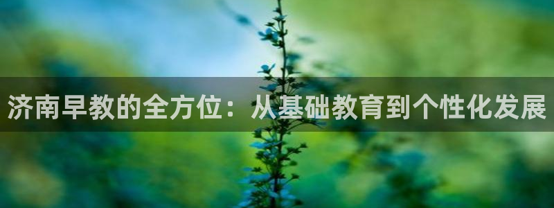 恒行娱乐登录信用 74ooo5：济南早教的全方位：从基础教育到个性化发展