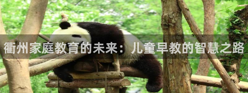 恒行主管6ll5l指定：衢州家庭教育的未来：儿童早教的智慧之路