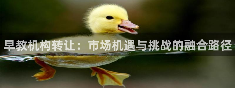 恒行2韩74OOO5：早教机构转让：市场机遇与挑战的融合路径