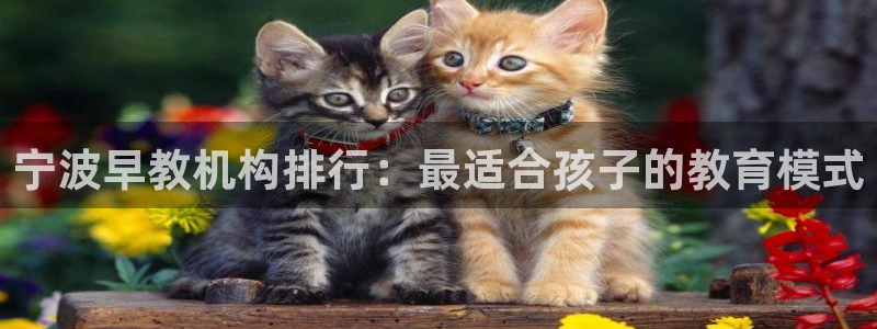 恒行2韩74OOO5：宁波早教机构排行：最适合孩子的教育模式