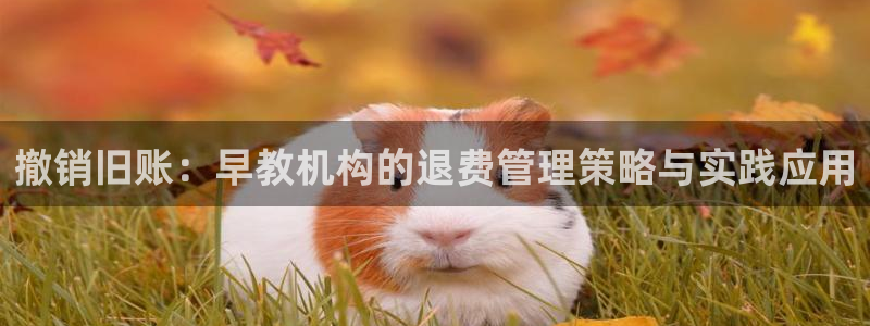 恒行娱乐卫74OOO5：撤销旧账：早教机构的退费管理策略与实践应用