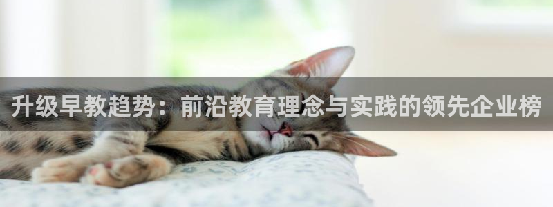 恒行开户全2O5o5O：升级早教趋势：前沿教育理念与实践的领先企业榜