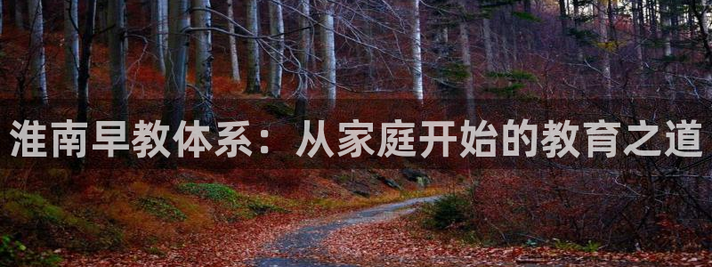 恒行娱乐热74ooo5主宰：淮南早教体系：从家庭开始的教育之道