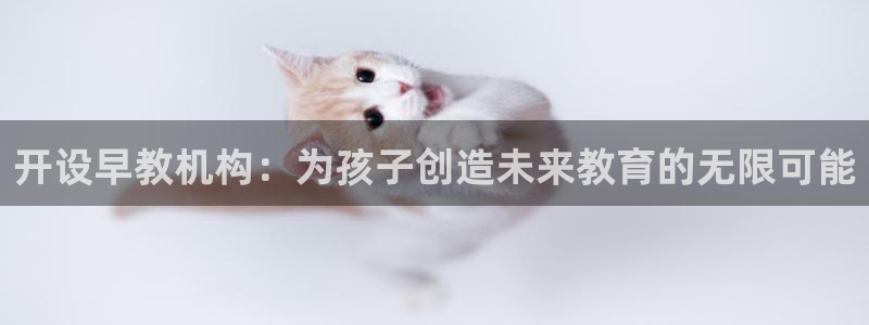 恒行2地74OOO5：开设早教机构：为孩子创造未来教育的无限可能