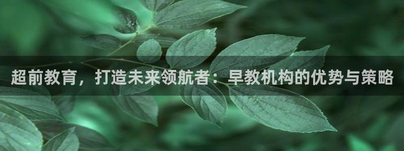 恒行娱乐毓婆74ooo5仪：超前教育，打造未来领航者：早教机构的优势与策略