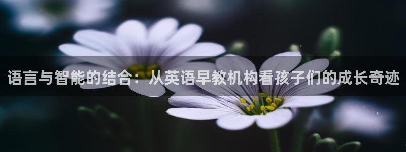 恒行彩票亏5千：语言与智能的结合：从英语早教机构看孩子们的成长奇迹