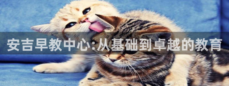 恒行开户娱乐6ll5l特惠：安吉早教中心:从基础到卓越的教育