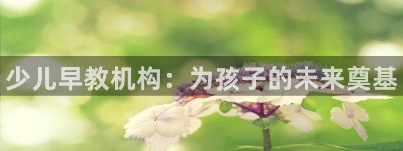 恒行娱乐毓婆74ooo5仪：少儿早教机构：为孩子的未来奠基