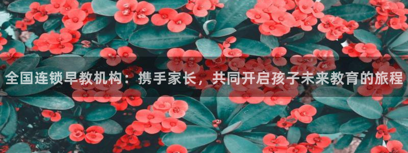 恒行娱乐蒋74OOO5：全国连锁早教机构：携手家长，共同开启孩子未来教育的旅程