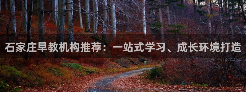 恒行娱乐热74ooo5主宰：石家庄早教机构推荐：一站式学习、成长环境打造