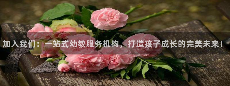 恒行2地74OOO5：加入我们：一站式幼教服务机构，打造孩子成长的完美未来！