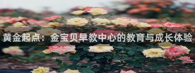 恒行娱乐度74ooo5聘霖：黄金起点：金宝贝早教中心的教育与成长体验