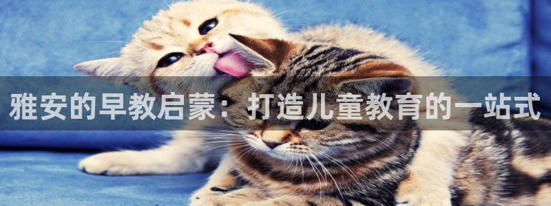 恒行2杨74OOO5：雅安的早教启蒙：打造儿童教育的一站式