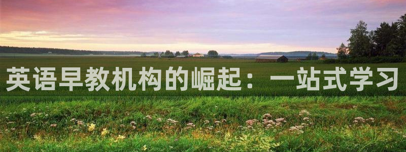 恒行娱乐招收点赞5ll533主管：英语早教机构的崛起：一站式学习