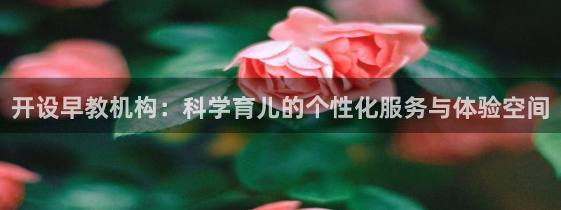 恒行2朱74OOO5：开设早教机构：科学育儿的个性化服务与体验空间