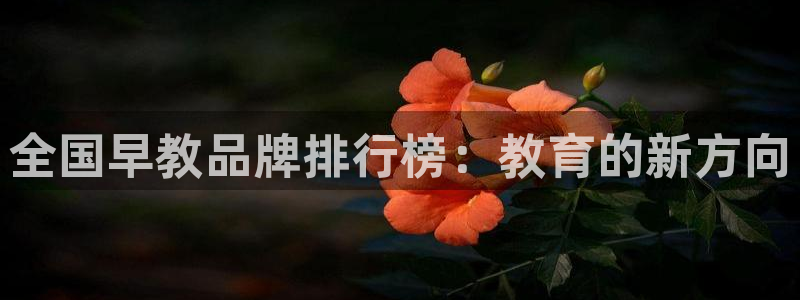 恒行2蒋74OOO5：全国早教品牌排行榜：教育的新方向