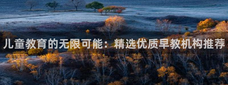 恒在5行中代表什么数字：儿童教育的无限可能：精选优质早教机构推荐
