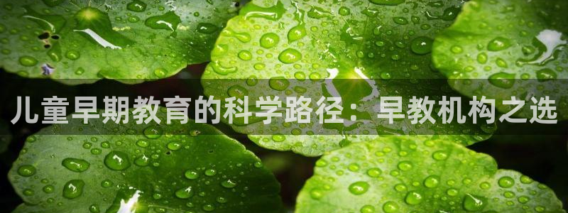 恒行2乃5O6917：儿童早期教育的科学路径：早教机构之选
