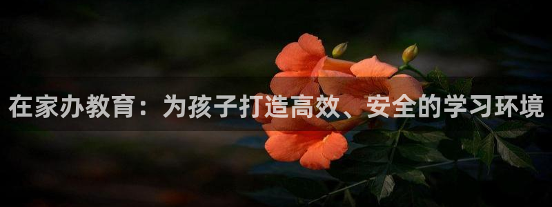 恒行2沈74OOO5：在家办教育：为孩子打造高效、安全的学习环境