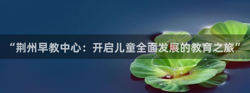 恒行2地74OOO5：“荆州早教中心：开启儿童全面发展的教育之旅”