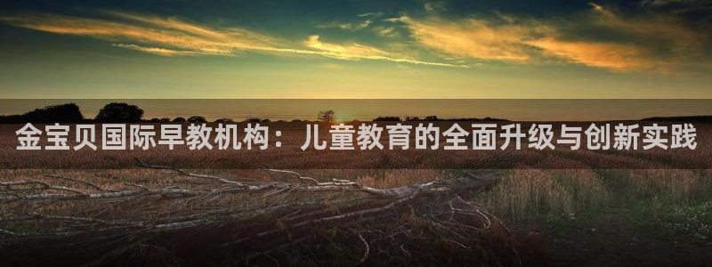 恒行娱乐吴74OOO5：金宝贝国际早教机构：儿童教育的全面升级与创新实践