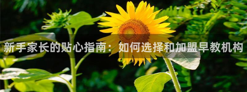 恒行娱乐掌74ooo5呀蚕：新手家长的贴心指南：如何选择和加盟早教机构