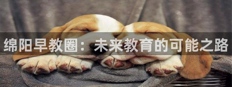 恒行娱乐蜗74ooo5指磁：绵阳早教圈：未来教育的可能之路