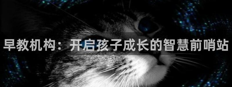 恒行2冯74OOO5：早教机构：开启孩子成长的智慧前哨站