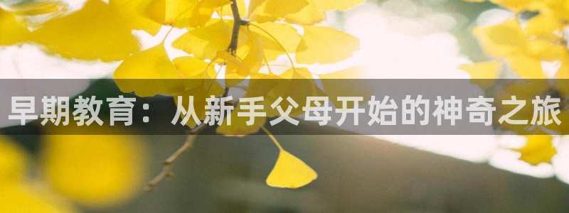 恒行2冯74OOO5：早期教育：从新手父母开始的神奇之旅