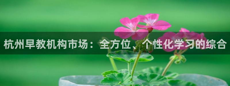 恒行2朱74OOO5：杭州早教机构市场：全方位、个性化学习的综合
