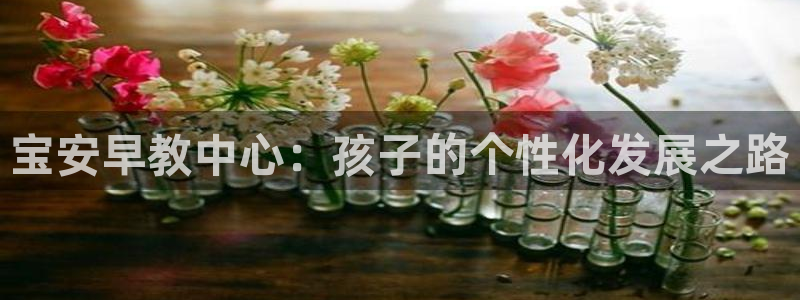 恒行主管6ll5l指定：宝安早教中心：孩子的个性化发展之路
