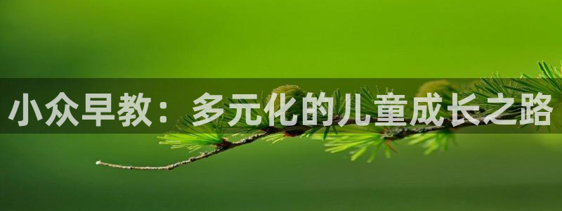 恒行招商老大诚挚 6ll5l：小众早教：多元化的儿童成长之路