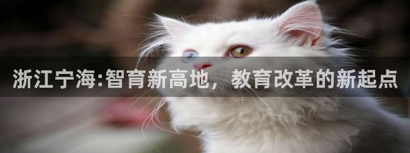 恒行2吴74OOO5：浙江宁海:智育新高地，教育改革的新起点