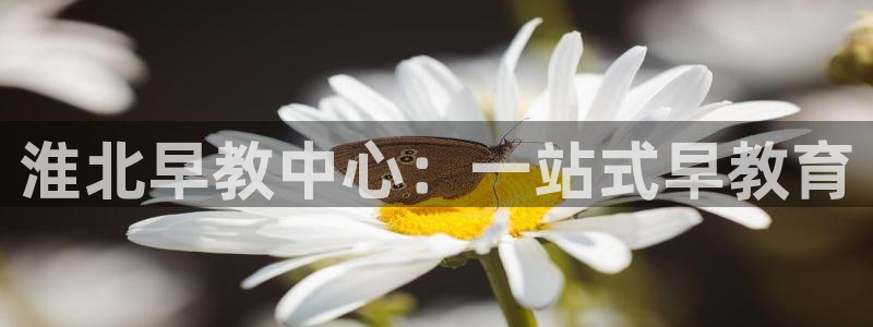 恒在5行中代表什么数字：淮北早教中心：一站式早教育