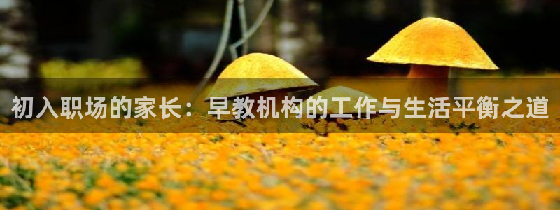 恒行注册招收6ll5l指定：初入职场的家长：早教机构的工作与生活平衡之道