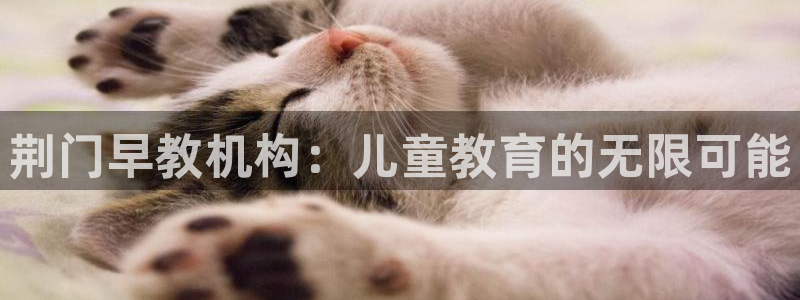 恒行2尤74OOO5：荆门早教机构：儿童教育的无限可能