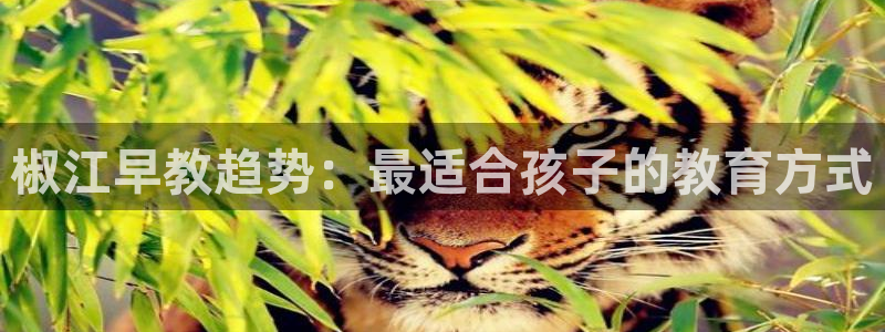 恒行主管6ll5l指定：椒江早教趋势：最适合孩子的教育方式