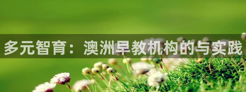 恒行娱乐老板推荐5ll533主管：多元智育：澳洲早教机构的与实践
