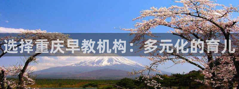 恒行注册招收6ll5l指定：选择重庆早教机构：多元化的育儿