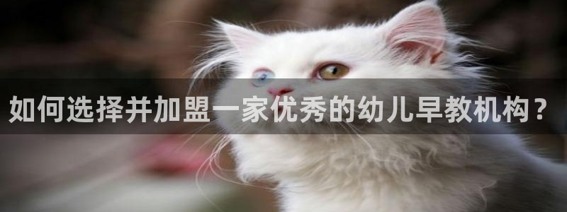 恒行代理总代主导 6ll5l：如何选择并加盟一家优秀的幼儿早教机构？