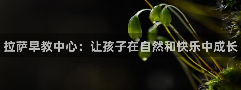 恒行开户全2O5o5O：拉萨早教中心：让孩子在自然和快乐中成长