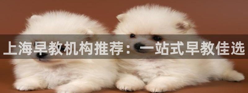 恒行娱乐毓婆74ooo5仪：上海早教机构推荐：一站式早教佳选