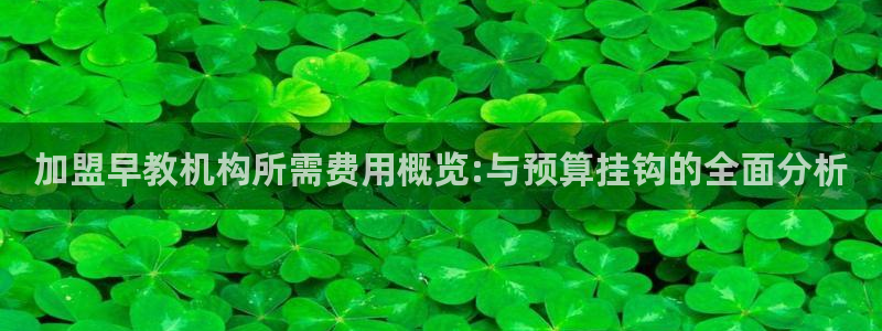 恒行2尤74OOO5：加盟早教机构所需费用概览:与预算挂钩的全面分析