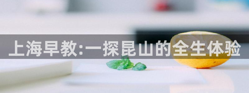 恒行5娱乐：上海早教:一探昆山的全生体验