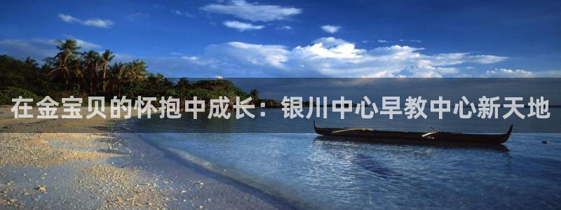 恒行2郑74OOO5：在金宝贝的怀抱中成长：银川中心早教中心新天地