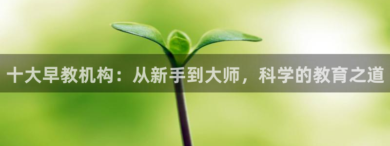 恒指5行情 如来再我心：十大早教机构：从新手到大师，科学的教育之道