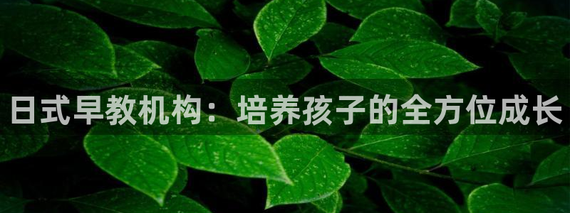恒行娱乐蜗74ooo5指磁：日式早教机构：培养孩子的全方位成长