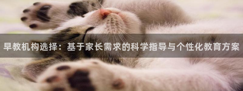 恒行娱乐5ll533主管优雅：早教机构选择：基于家长需求的科学指导与个性化教育方